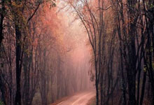 -赢世俱杯会有奖金吗?瓜帅:这赛季我们不配,连.