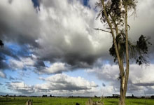 C7娱乐:常规赛末段换帅!灰熊成为本赛季第二支在季中换帅的球队.