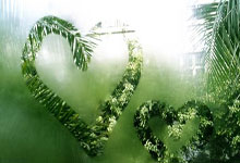 林诗栋、孙颖莎领跑国际乒联世界排名2025-02-26.