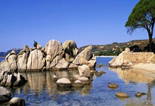 C7娱乐:考察球员?图赫尔来到斯坦福桥观战切尔西vs热刺.